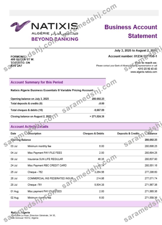 Natixis Algerie business bank statement Word and PDF format